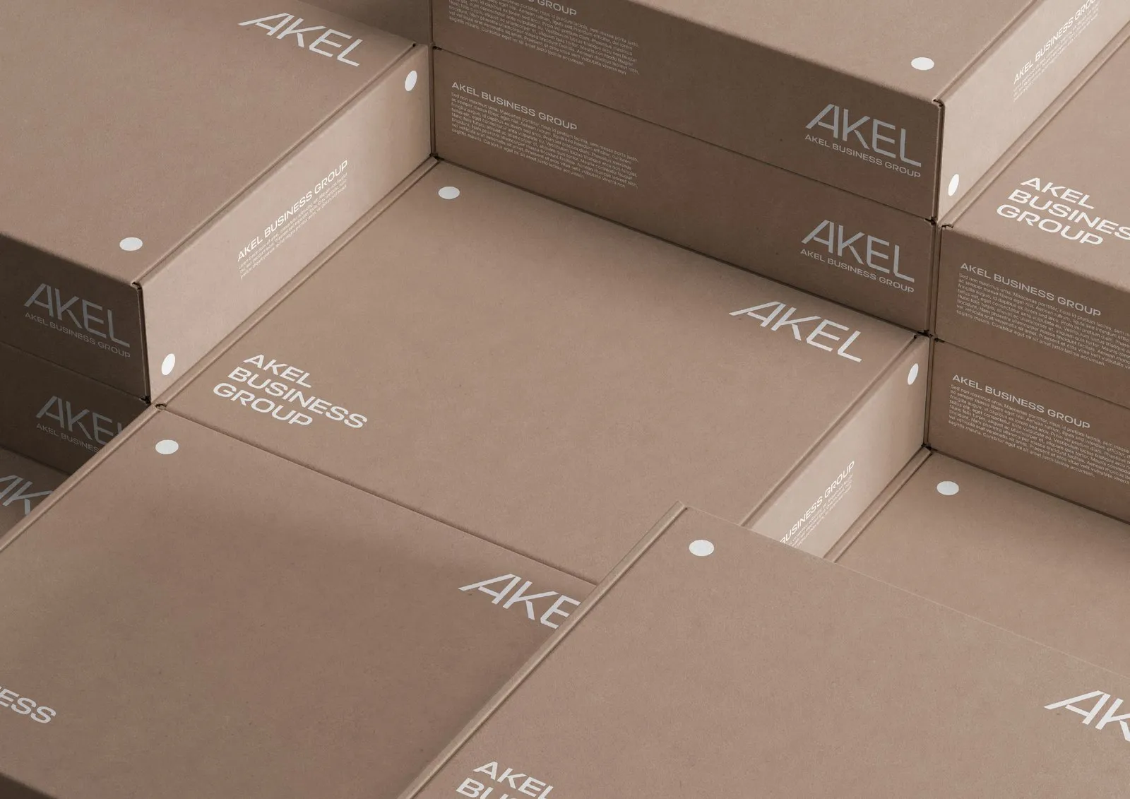 AKEL Business Group — brand identity by MereqTech