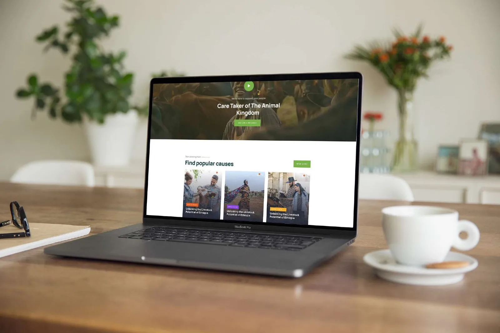 EVA — website design & development by MereqTech